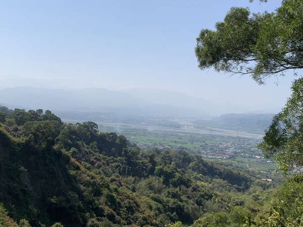 20250322南投松柏坑山-大棚山2745849