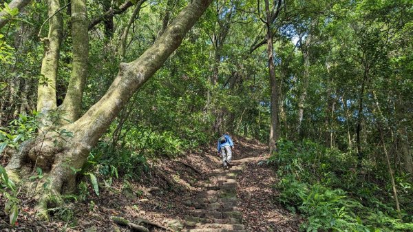 112.05.01走遍陽明山尋寶任務之紗帽山步道2138969