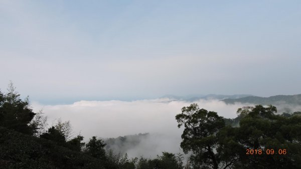 二格公園日出&石碇雲海國小雲海601750