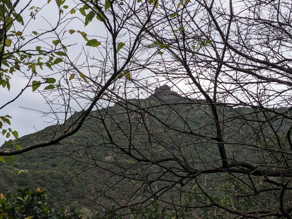 金瓜石九份2981411