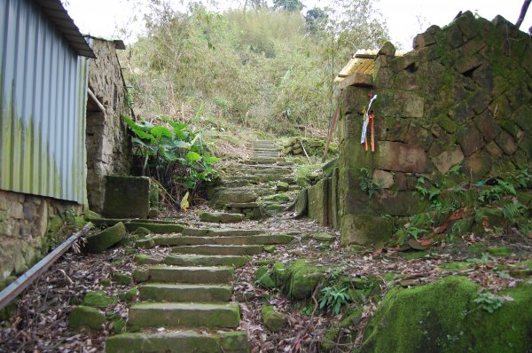 深坑炮子崙步道1960560