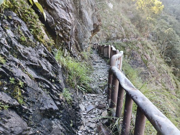 [玉山尋寶任務-07/12] 2025_0824 八通關雲龍瀑布步道2870669