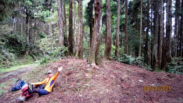 【油羅山/露營】 仙境舒活健走，雲端徜徉野趣！2887904
