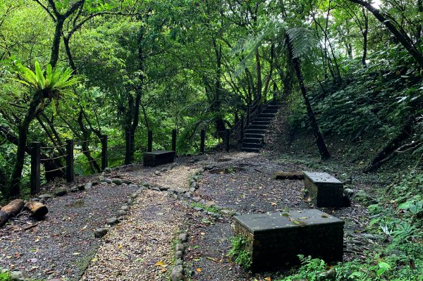 新北平溪｜嶺腳寮登山步道｜拜訪孤獨車站．親近仙氣滿載的望古瀑布1574420