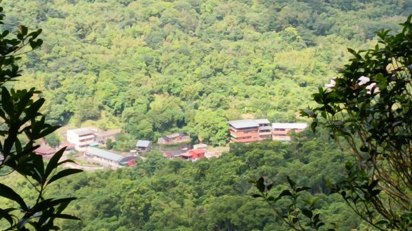 基隆市月眉洞步道-仙洞湖山-姑娘廟P字走3121998