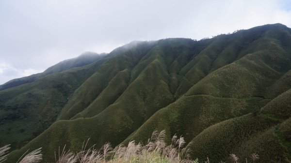 聖母峰之聖707631