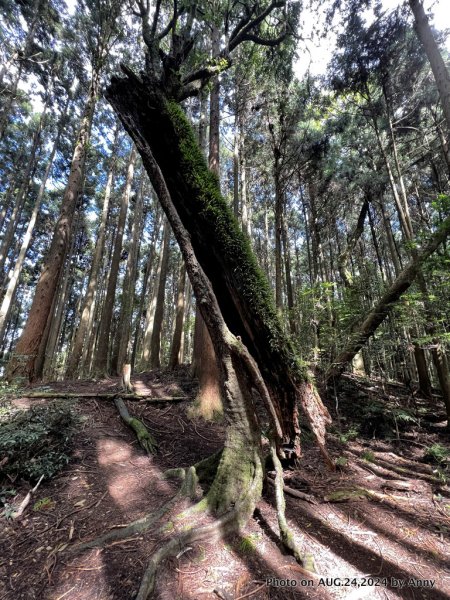 民都有山就是漂亮的夏天冷氣房2582225