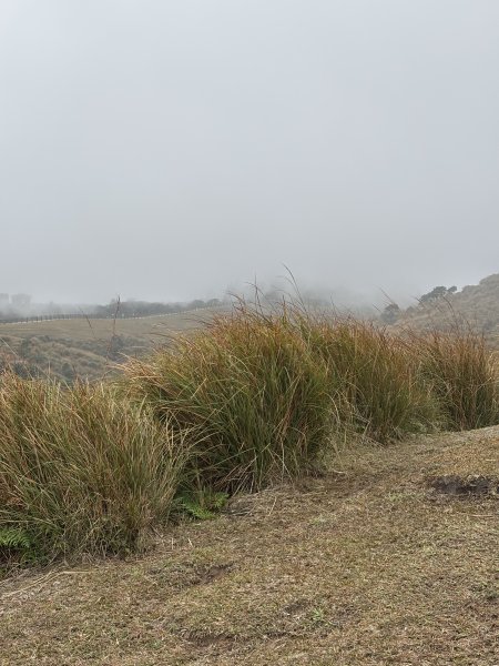 陽明山東西大縱走-東段2984540