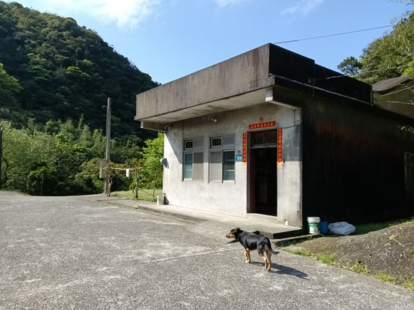 雙溪區坪溪古道-蛇仔崙-鶯子嶺-太和山-蛇子頭觀景台-梗枋越嶺古道鞍部-坪溪古道O型3029745
