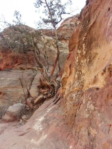 山岳之美_約旦6521