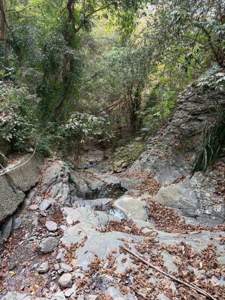 2026/02/20笠頂山+真笠山西南峰3008111