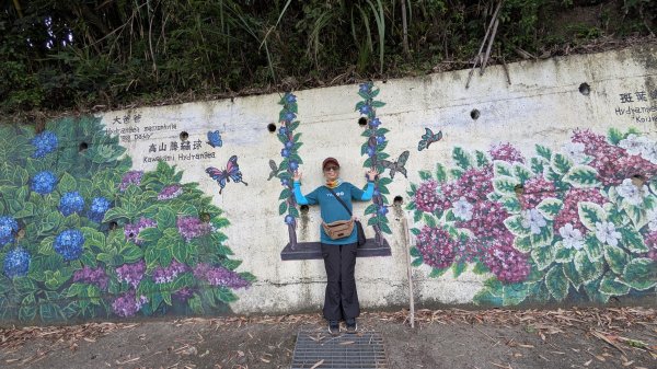 115.05.23枕頭山-枕頭山西峰-薑母島之旅3061263