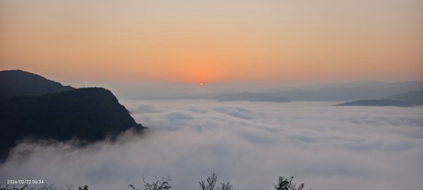 #翡翠水庫壩頂 #日出 #雲海 #藍腹鷴 2/22 #年初六3004061