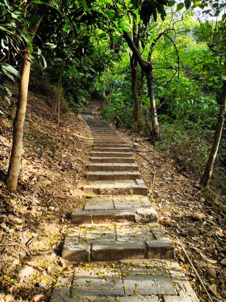 2025-12-14 大肚萬里長城步道、環保公園步道、旗開得勝步道2968958