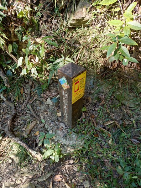 佳保台山-八仙山2910260