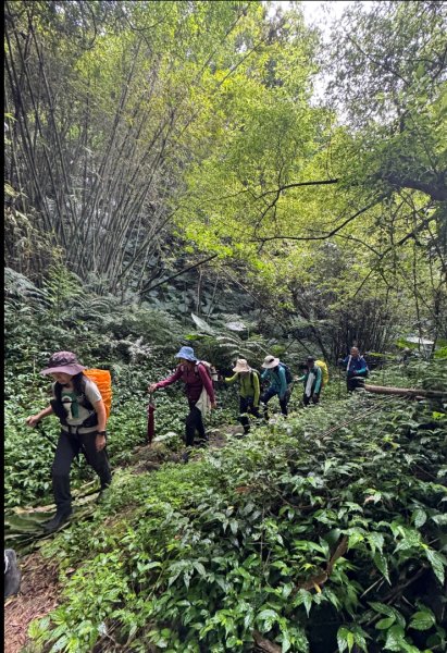 大艽芎古道縱走 新/溪州山(小百岳#23) 出溪州公園2893941