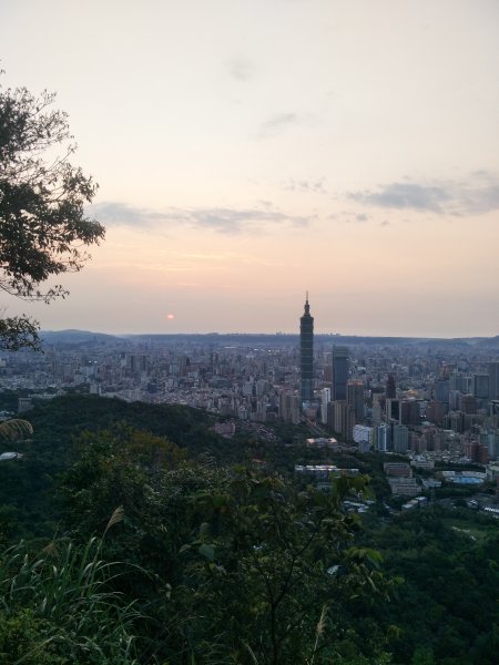 南港山縱走親山步道(拇指山、南港山、象山、九五峰)1820272