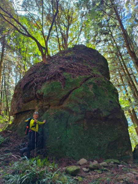 1121125 鳥嘴山縱走貴妃山2363984