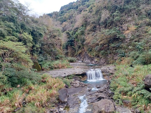【苗栗泰安】中級山的大霸尖山。 虎山步道2779590