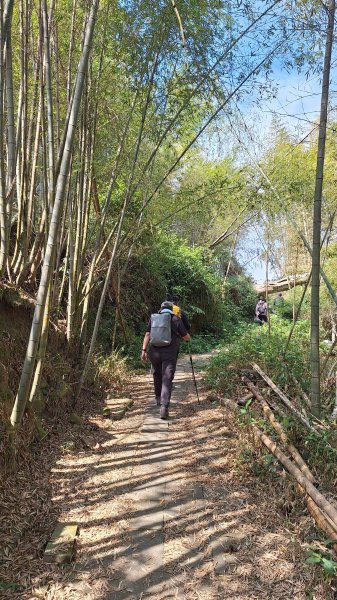 雲嘉大尖山(挑筍古道上)11502093045227