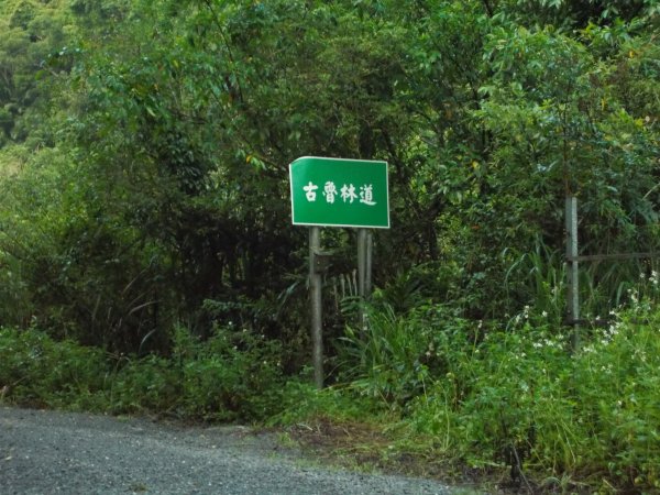蕃社坑山連走鳳紗山隘勇線1107132