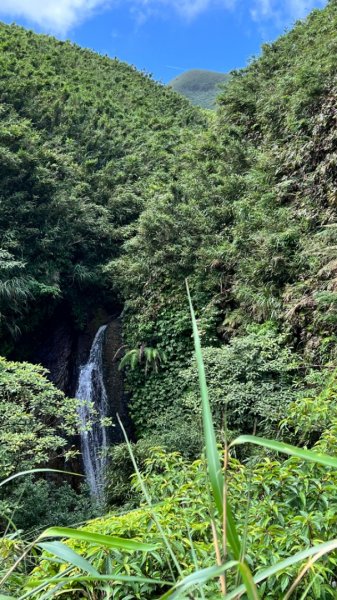 環七星山人車分道步道 – 百拉卡公路入口站至冷水坑段2165166