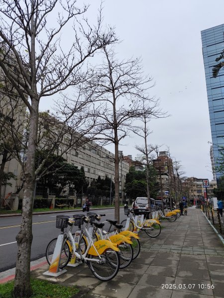 內湖大港墘公園、西湖圖書館、湖光教會、737巷美食街2729386
