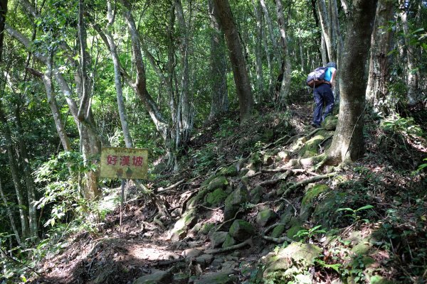 新竹關西鎮 赤柯山四連峰O型2284504