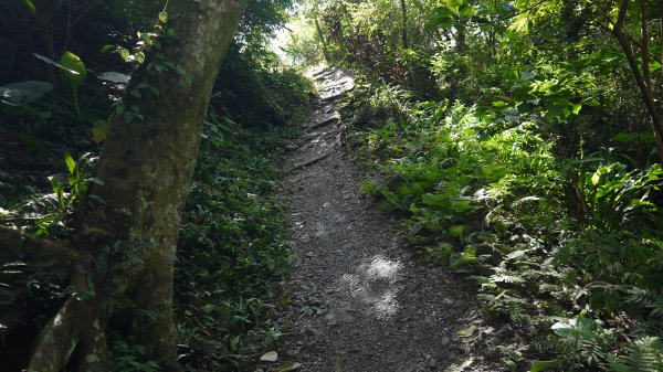 三訪跑馬古道登山健行趣（淡蘭南路TK3-10）1517784