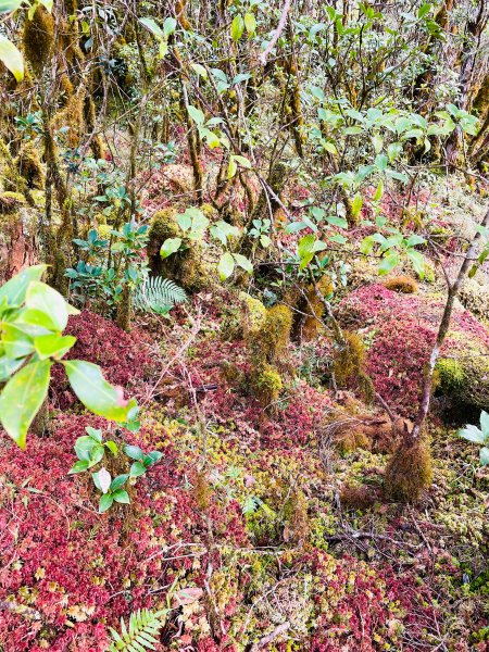 魔幻森林三星山與三星池1658329