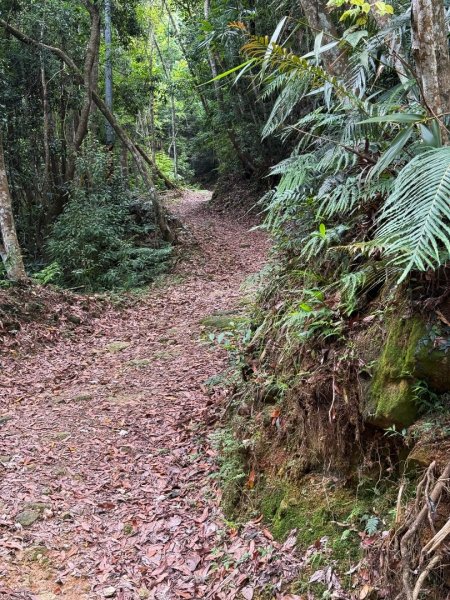埔里能高瀑布-慶安步道-觀景台2801464