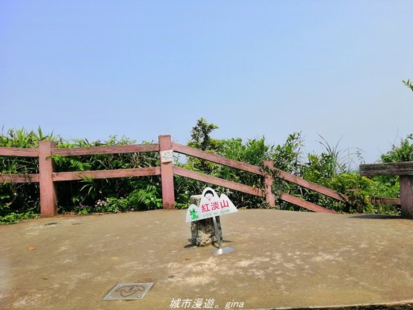 【基隆。仁愛】小百岳集起來。編號7小百岳~紅淡山步道1346368