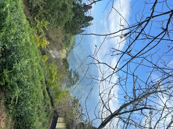 鵝公髻山/十八尖山/紅淡山/大尖山3120530