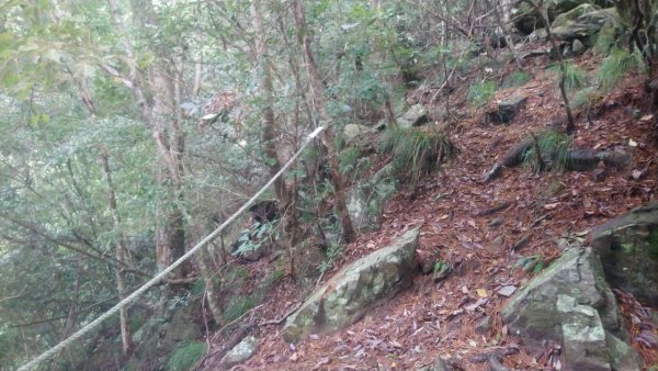 坡很陡的波津加山(老四)1835012