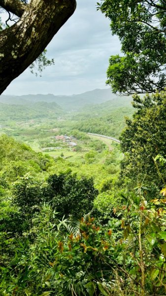 嶺頭觀日步道，西九分坑山O走2809633