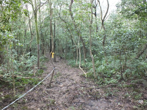 百二階古道+苕谷瀑布+逸仙山+泰和樓2734482