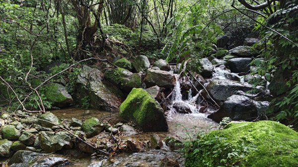 楊廷理古道2814588