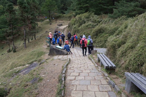 【新聞】麟趾山鞍部登山口及東埔大草原步道(南向)入口平台訂於110年9月3至20日施工