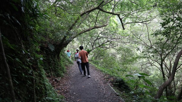 林美石磐步道登山健行趣(步道)2273751