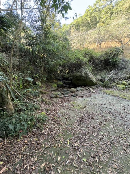 20251123台南－獵鷹尖一線天步道2944541