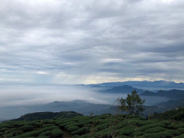 貓空望山、嶺頭山、金柑樹山（小百岳）、忘憂森林1897102