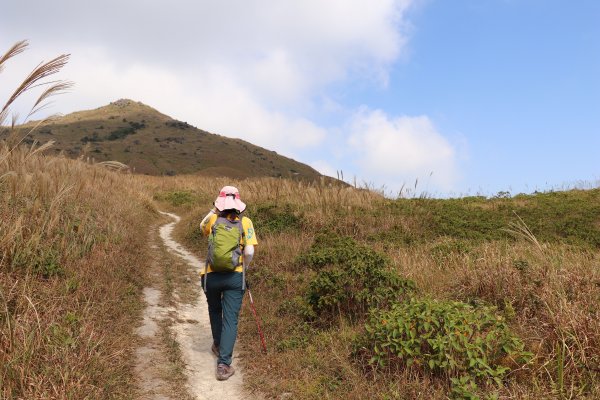 香港山系 － 大嶼山931055