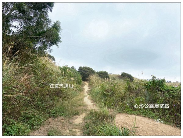 塗崁頂山、西南峰、心形公路、嶺頂步道 連走2971786