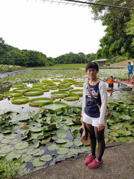 老銃櫃步道，三聯埤落羽松步道，金門觀止及翟山步道，台中知高圳步道1659365