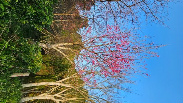 出關古道：十份崠段2700633