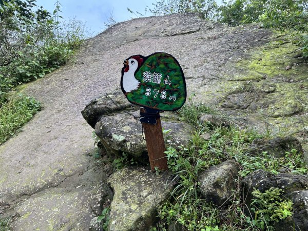 關子嶺雞籠山步道+大凍山2909444