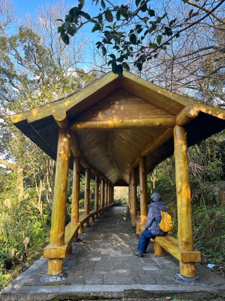 幸福五感森林癒2694315