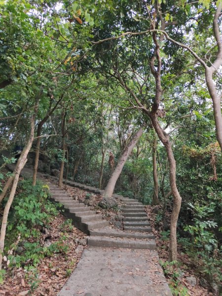 2023.12.24 高雄壽山2835312