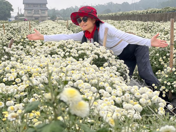 小百岳關刀山889m+銅鑼杭菊1924080