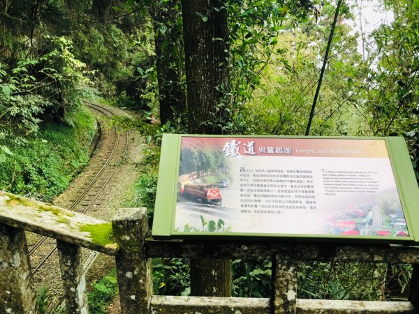 1090216奮起湖木馬古道、衫林步道840148